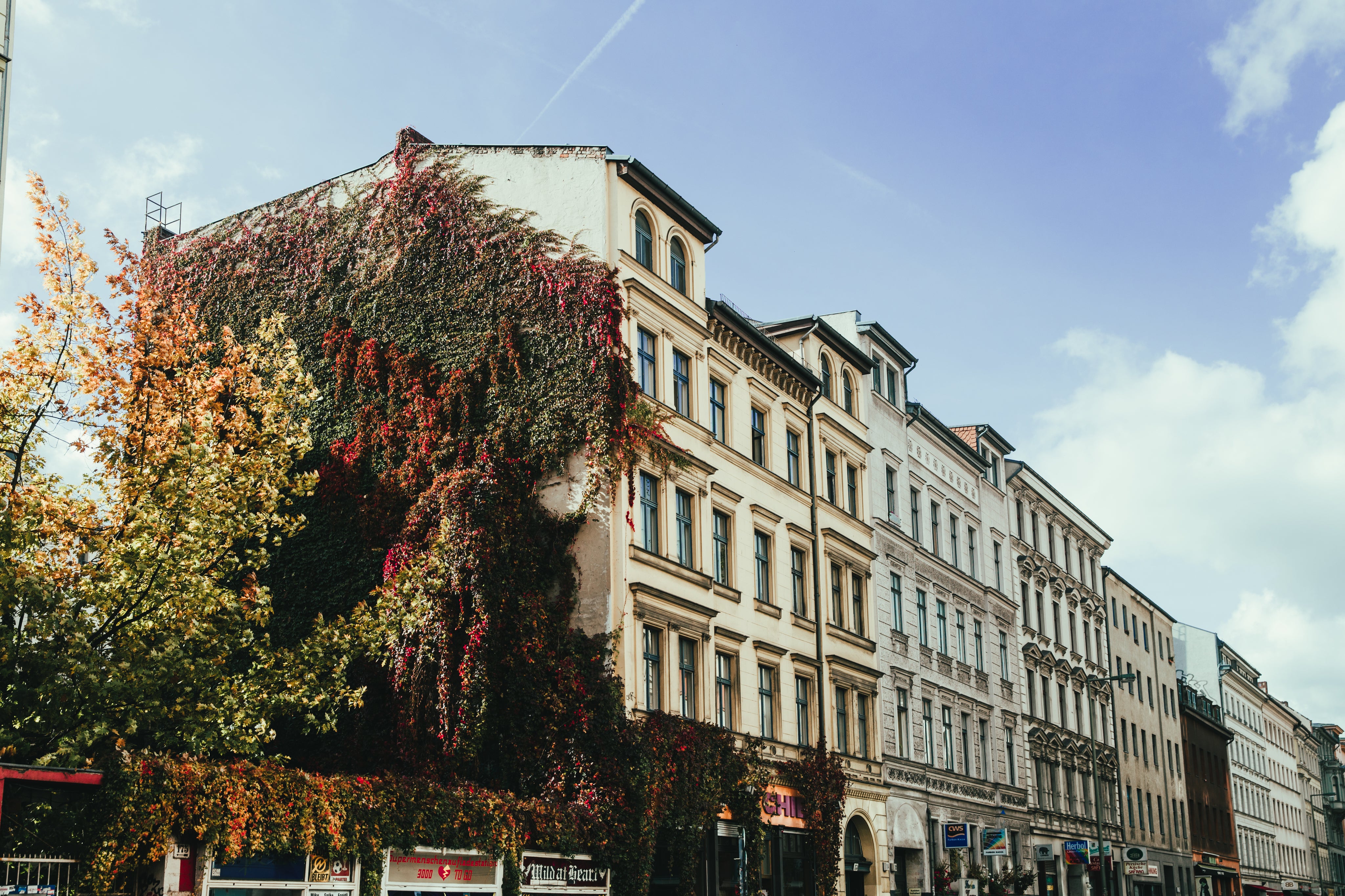 berlin-baroque-building.jpg